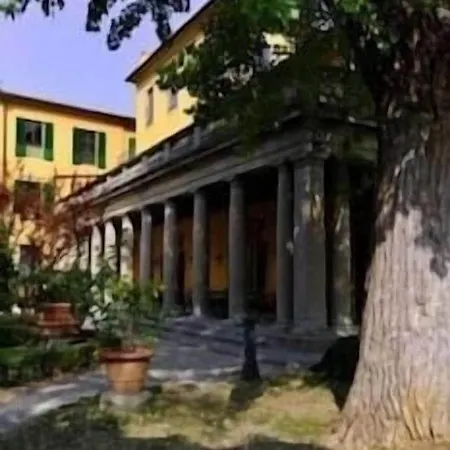 Camerata Firenze * 菲耶索莱